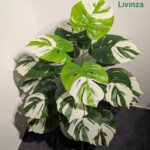 3 Feet Artificial Green Plant | Livinza