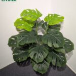 3 Feet Artificial Green Plant | Livinza