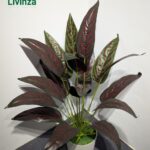 3 Feet Artificial Green Plant | Livinza