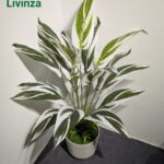 লিভিনজার Premium 3 Feet Artificial Green Plant। ঘর, অফিস, শোরুম ও বিভিন্ন ইনডোর স্পেসে ন্যাচারাল সবুজের সুন্দর লুক দিতে উপযোগী।