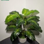 ঘর ও অফিসের সৌন্দর্য বাড়াতে প্রিমিয়াম ৩ ফিট Artificial Green Plant।