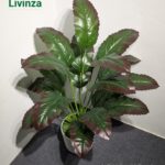 3 Feet Artificial Green Plant | Livinza