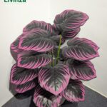 3 Feet Artificial Green Plant | Livinza