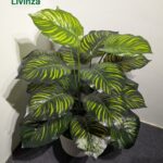 3 Feet Artificial Green Plant for Room Decor