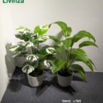 Premium 3 Feet Artificial Plant | Livinza