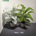 Premium 3 Feet Artificial Plant | Livinza
