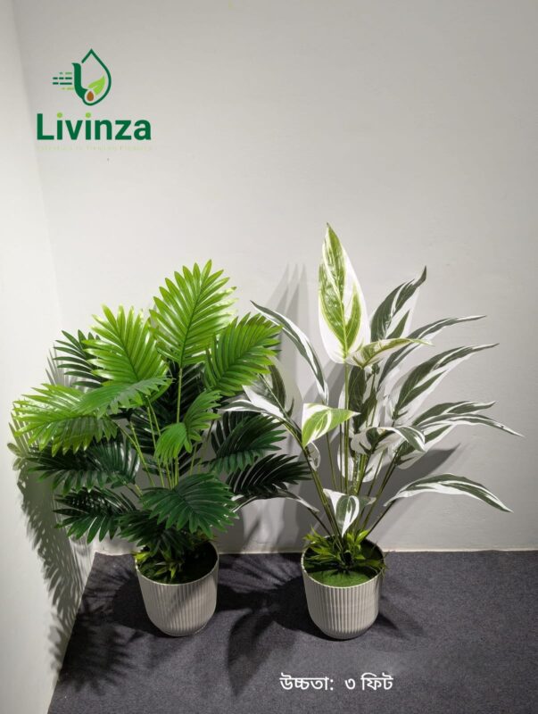 ন্যাচারাল-লুকিং সবুজ পাতার ডিজাইনে তৈরি ৩ ফিট Artificial Plant আপনার interior decoration-কে আরও আকর্ষণীয় করে তুলতে পারে। ঘর বা অফিসের খালি কর্নারে রাখলেই তৈরি হবে সুন্দর একটি greenery-focused look।
