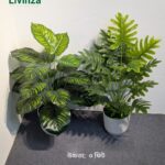 Premium 3 Feet Artificial Green Plant for Indoor Decor