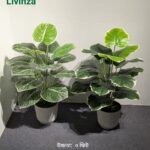 ন্যাচারাল-লুকিং সবুজ পাতার ডিজাইনে তৈরি ৩ ফিট Artificial Plant আপনার interior decoration-কে আরও আকর্ষণীয় করে তুলতে পারে। ঘর বা অফিসের খালি কর্নারে রাখলেই তৈরি হবে সুন্দর একটি greenery-focused look।