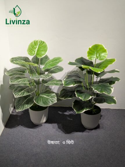 ন্যাচারাল-লুকিং সবুজ পাতার ডিজাইনে তৈরি ৩ ফিট Artificial Plant আপনার interior decoration-কে আরও আকর্ষণীয় করে তুলতে পারে। ঘর বা অফিসের খালি কর্নারে রাখলেই তৈরি হবে সুন্দর একটি greenery-focused look।