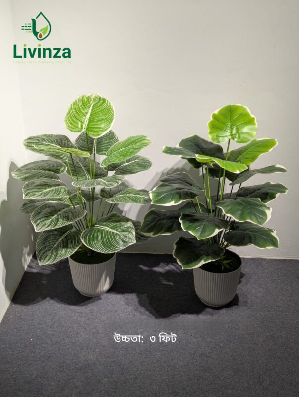 ন্যাচারাল-লুকিং সবুজ পাতার ডিজাইনে তৈরি ৩ ফিট Artificial Plant আপনার interior decoration-কে আরও আকর্ষণীয় করে তুলতে পারে। ঘর বা অফিসের খালি কর্নারে রাখলেই তৈরি হবে সুন্দর একটি greenery-focused look।