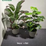 Premium 3 Feet Artificial Plant | Livinza