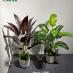 Premium 3 Feet Artificial Plant | Livinza