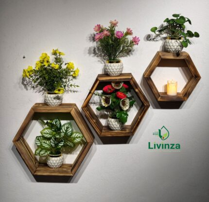 Hexagon Room Square Wall Shelf Combo for home wall decoration