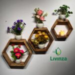Hexagon + Room + Square Wall Shelf Combo | Stylish Wall Decor