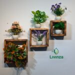 Hexagon + Room + Square Wall Shelf Combo | Stylish Wall Decor