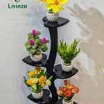 ফাইভ পান পাতা স্ট্যান্ড কম্বো | Livinza