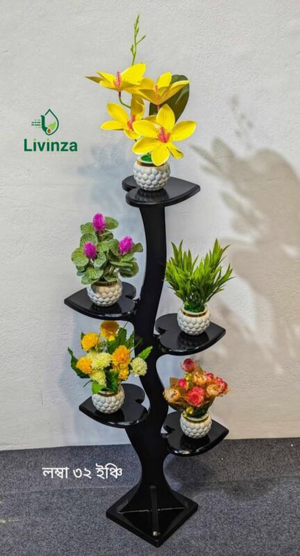 ফাইভ পান পাতা স্ট্যান্ড কম্বো | Livinza